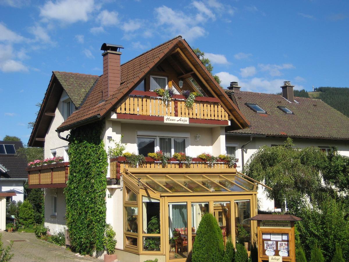 Haus Anja Apartment Titisee-Neustadt Bagian luar foto