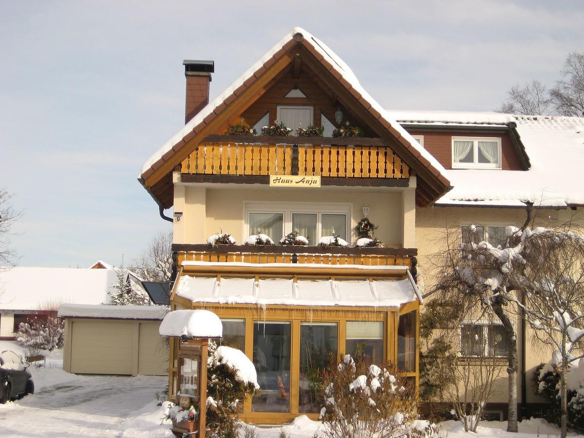 Haus Anja Apartment Titisee-Neustadt Bagian luar foto
